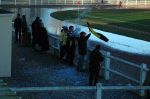 Oissel_-_Crufc_-_1314_35.JPG